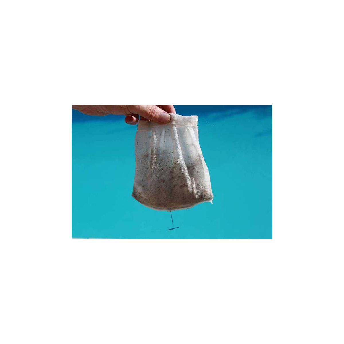 Chaussette pré-filtre de skimmer NETSKIM – speed-piscine