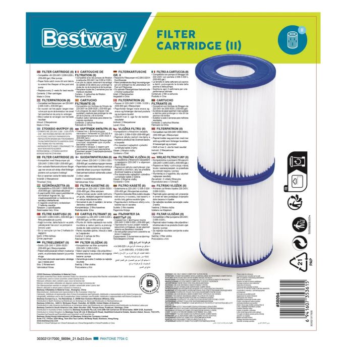 Lot de 2 cartouches de filtration Bestway Type II