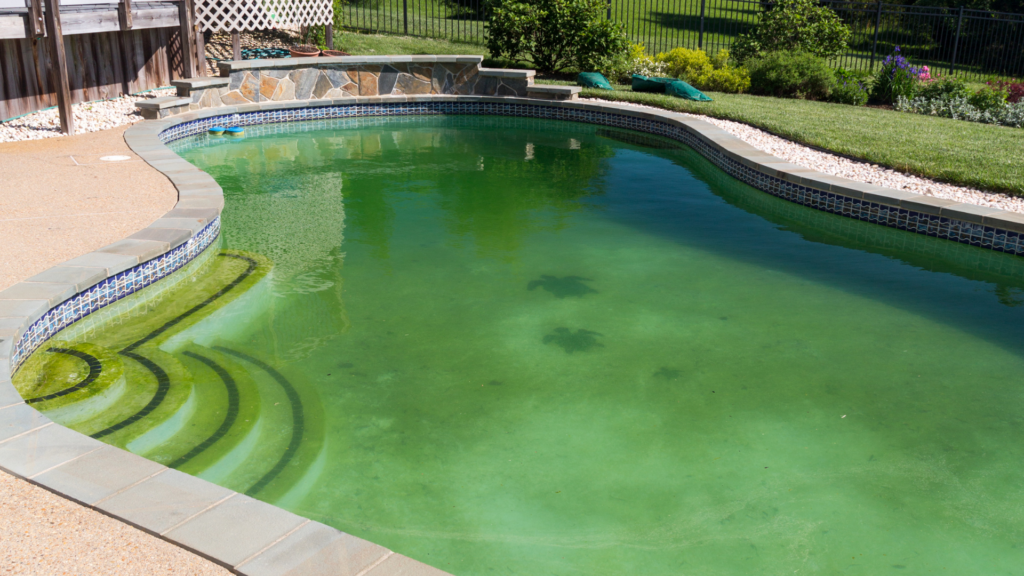 Entretien Piscine : Comment traiter une eau verte de piscine ? 