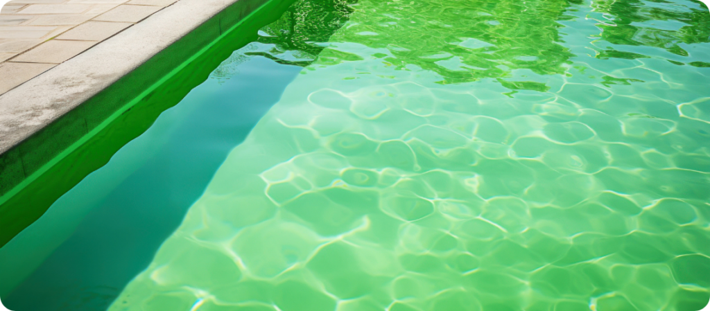eau piscine verte