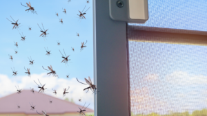 Répulsif à moustiques - comparatif mosquito magnet